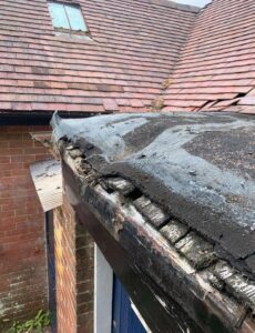 roofing blandford
