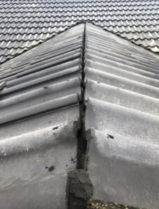 roofing blandford